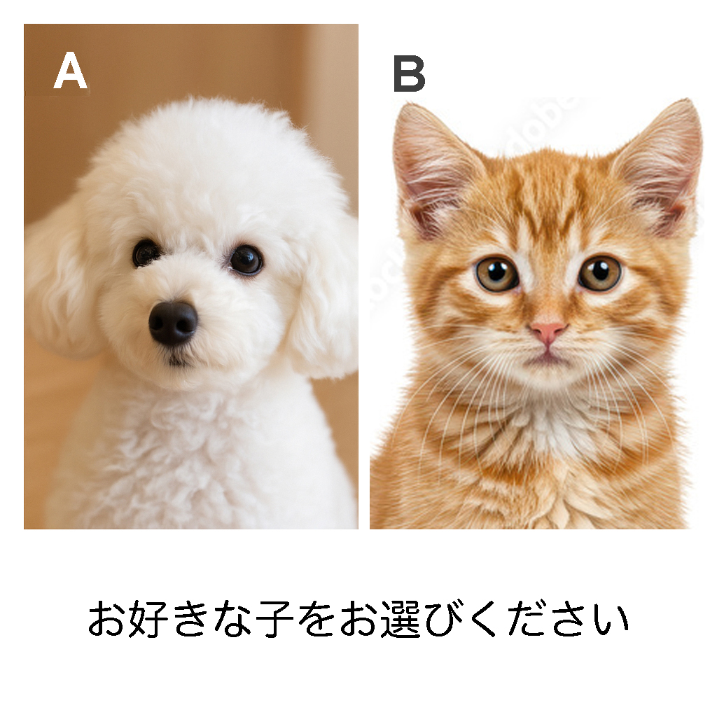 オンラインレッスン絵心題材写真